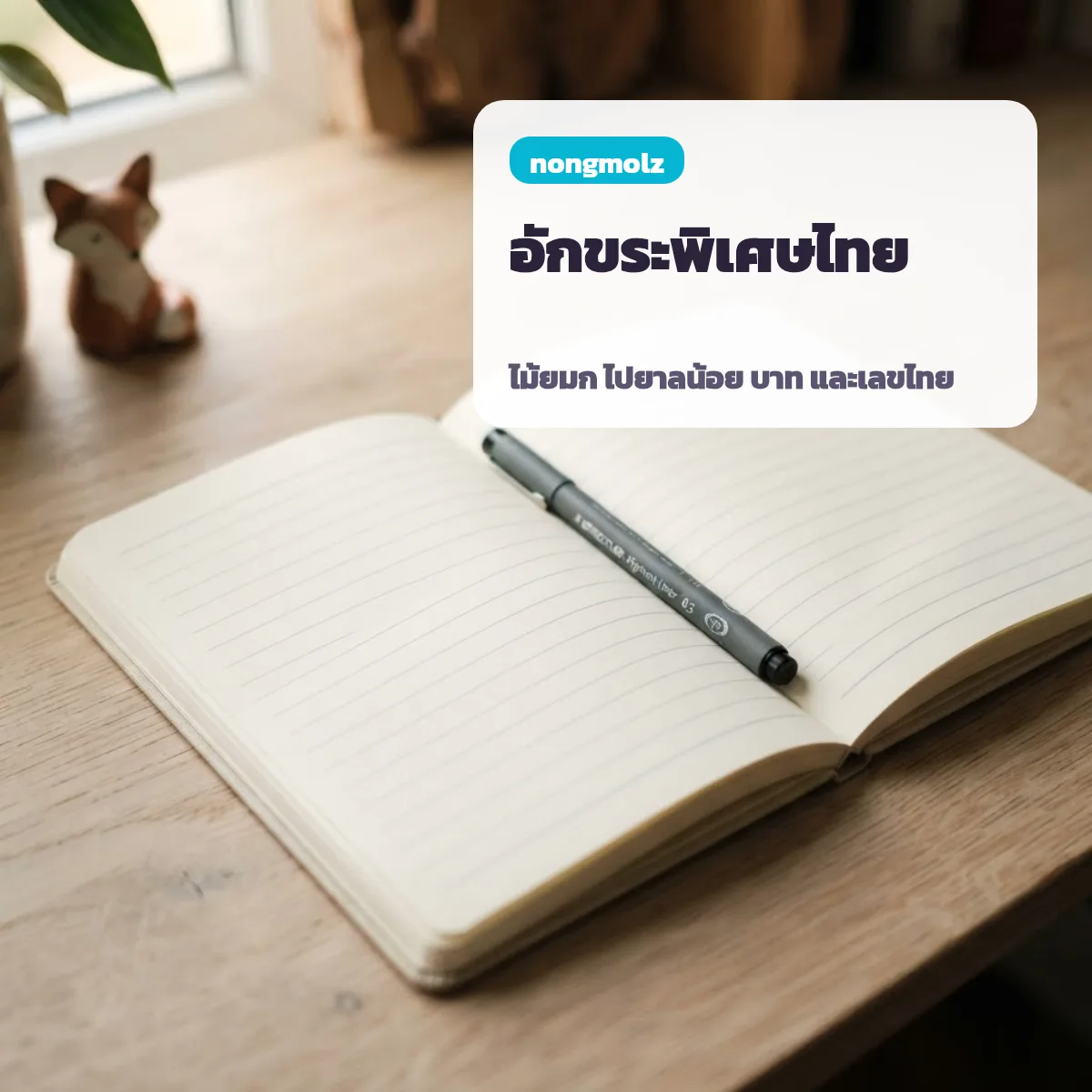 ตาราง อักขระพิเศษ ภาษาไทย ไม้ยมก ไปยาลน้อย โคมูตร บาท nongmolz