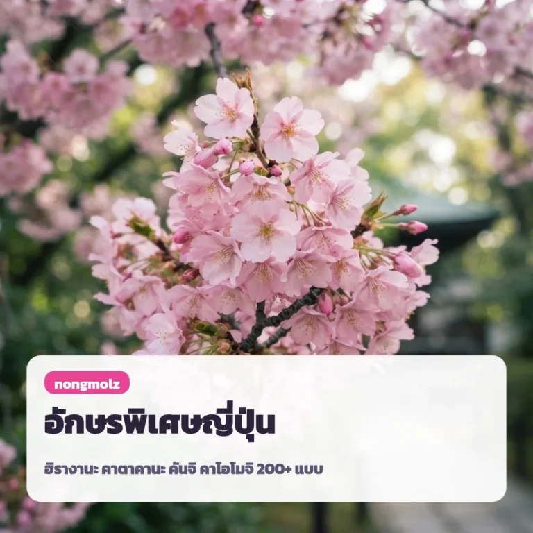 อักษรพิเศษญี่ปุ่น ฮิรางานะ คาตาคานะ คันจิ คาโอโมจิ 200+ แบบ คัดลอกได้ nongmolz