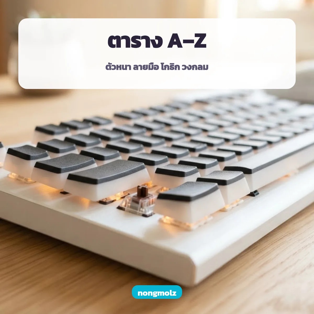 ตาราง A-Z ตัวอักษรพิเศษ ภาษาอังกฤษ ทุกแบบ คัดลอกได้ nongmolz