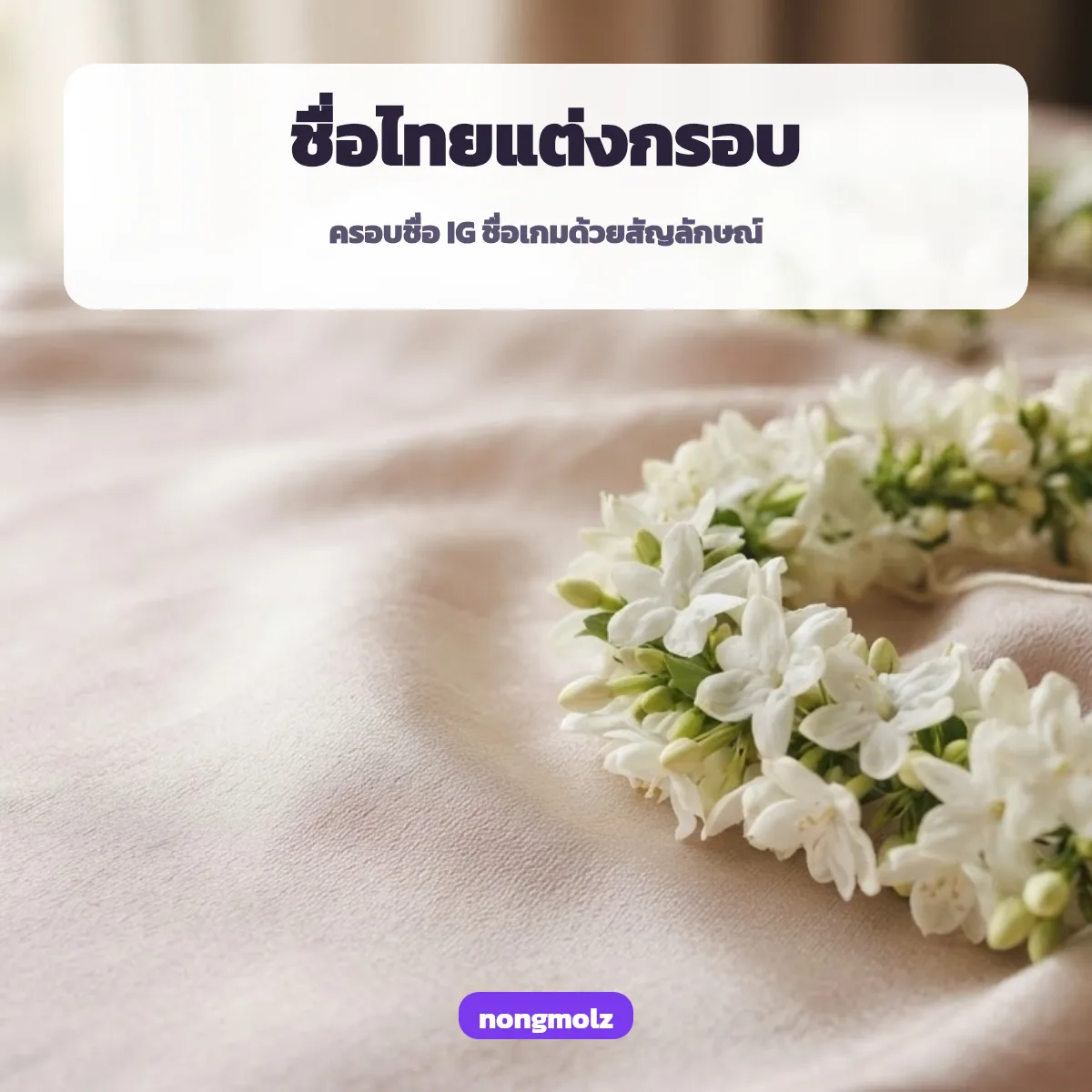 ตัวอักษรพิเศษ ภาษาไทย แต่งชื่อด้วยกรอบสัญลักษณ์สวยๆ nongmolz