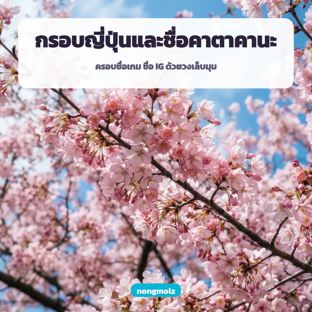 ชุดตัวอักษรญี่ปุ่นน่ารัก กรอบ 「」『』 และชื่อคาตาคานะ สำหรับเกมและไอจี nongmolz
