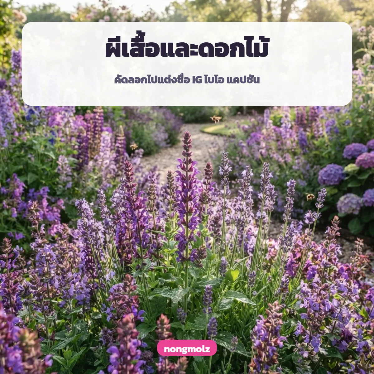 อักษรพิเศษผีเสื้อ 🦋 และดอกไม้ สัญลักษณ์พิเศษ ผีเสื้อ คัดลอกได้ nongmolz
